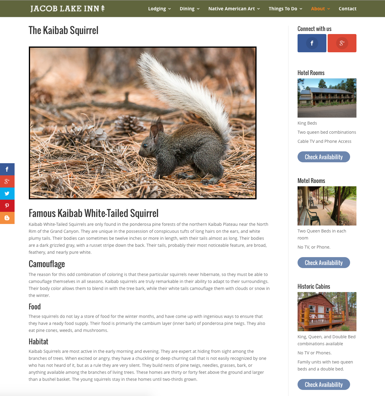 The Kaibab Squirrel Page