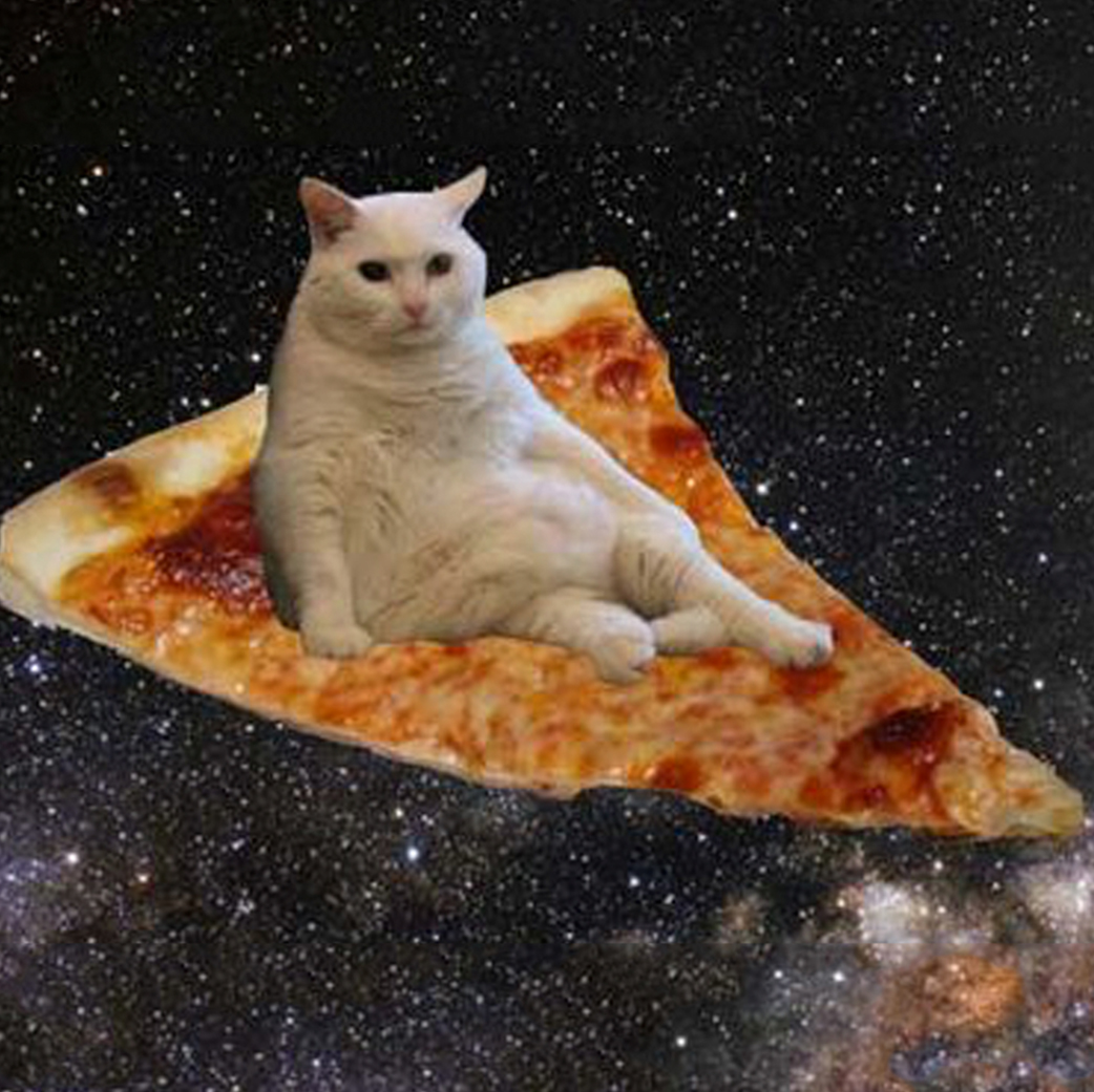 pizzaflyingcat
