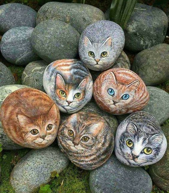 Commentary: stop painting rocks to look like cats